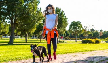 dog face masks