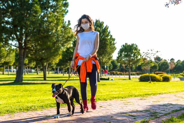 dog face masks